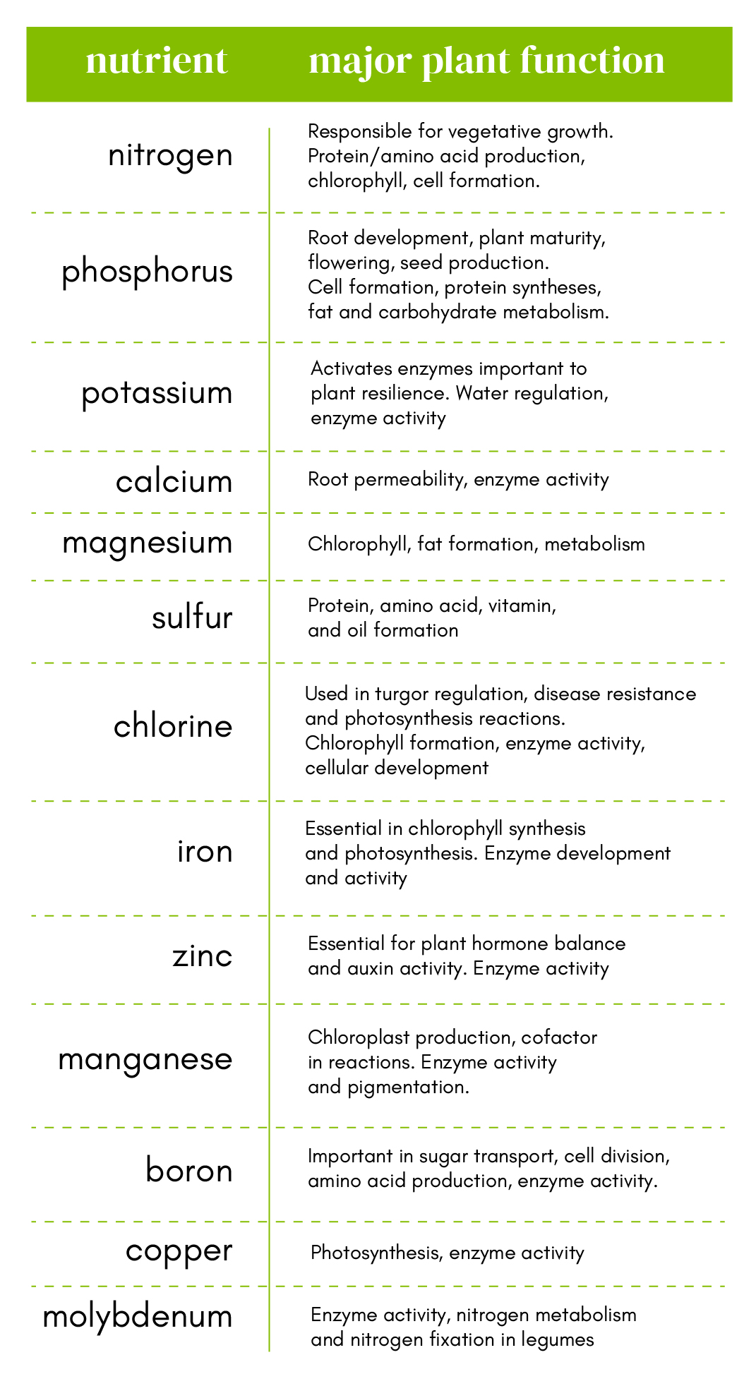 Your Guide to Fertilizing Outdoor Gardens and Containers - Tonkadale