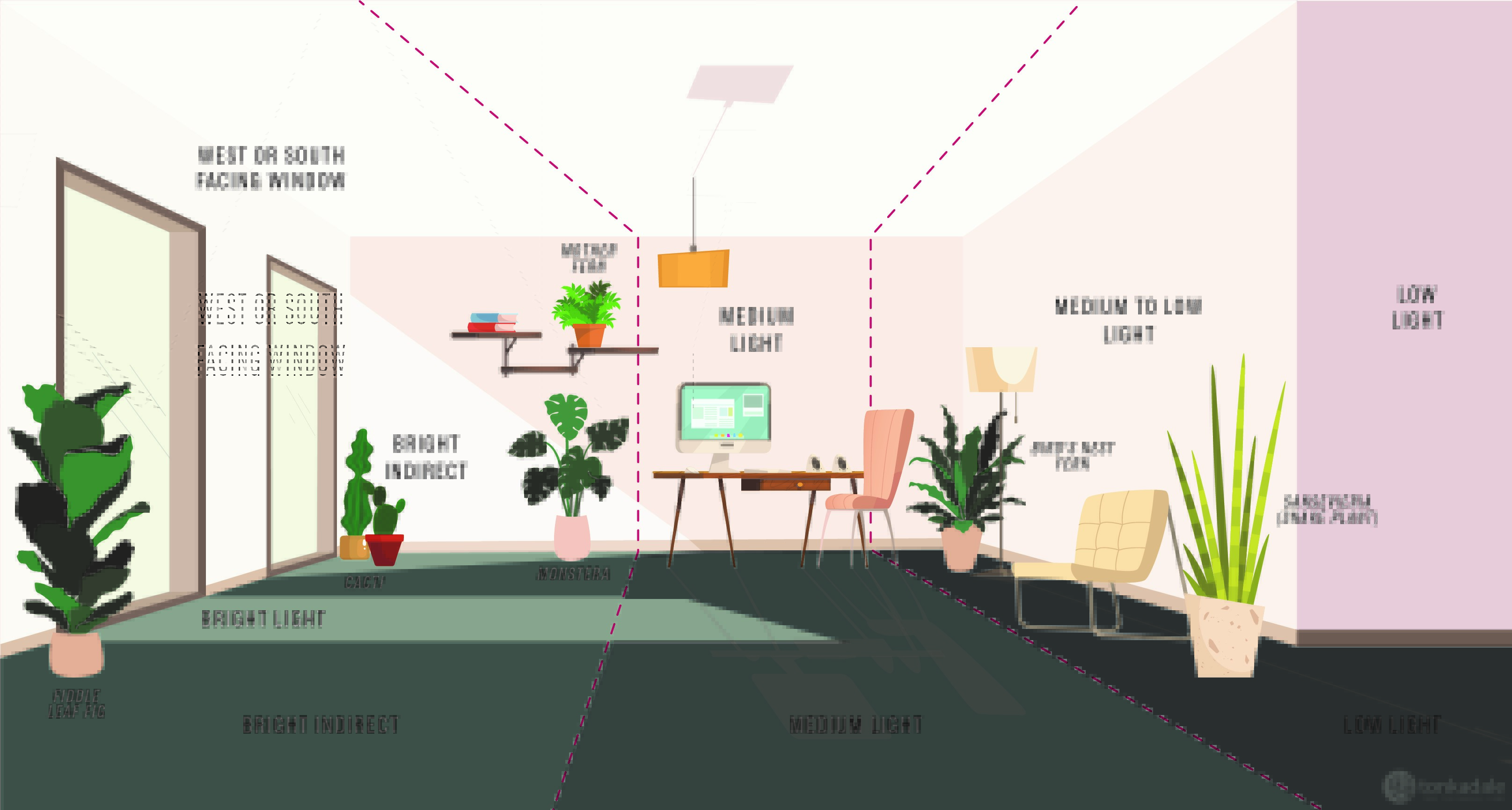 How to Give a Plant Indirect Sunlight 